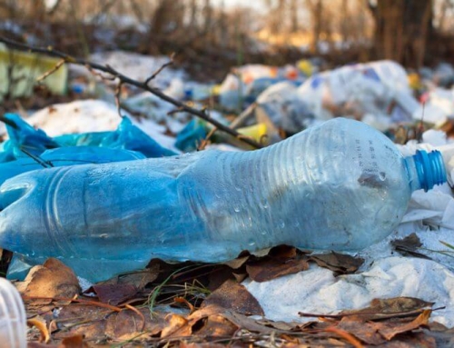 Le débat du mois : lutter contre la pollution par le plastique, c’est possible?